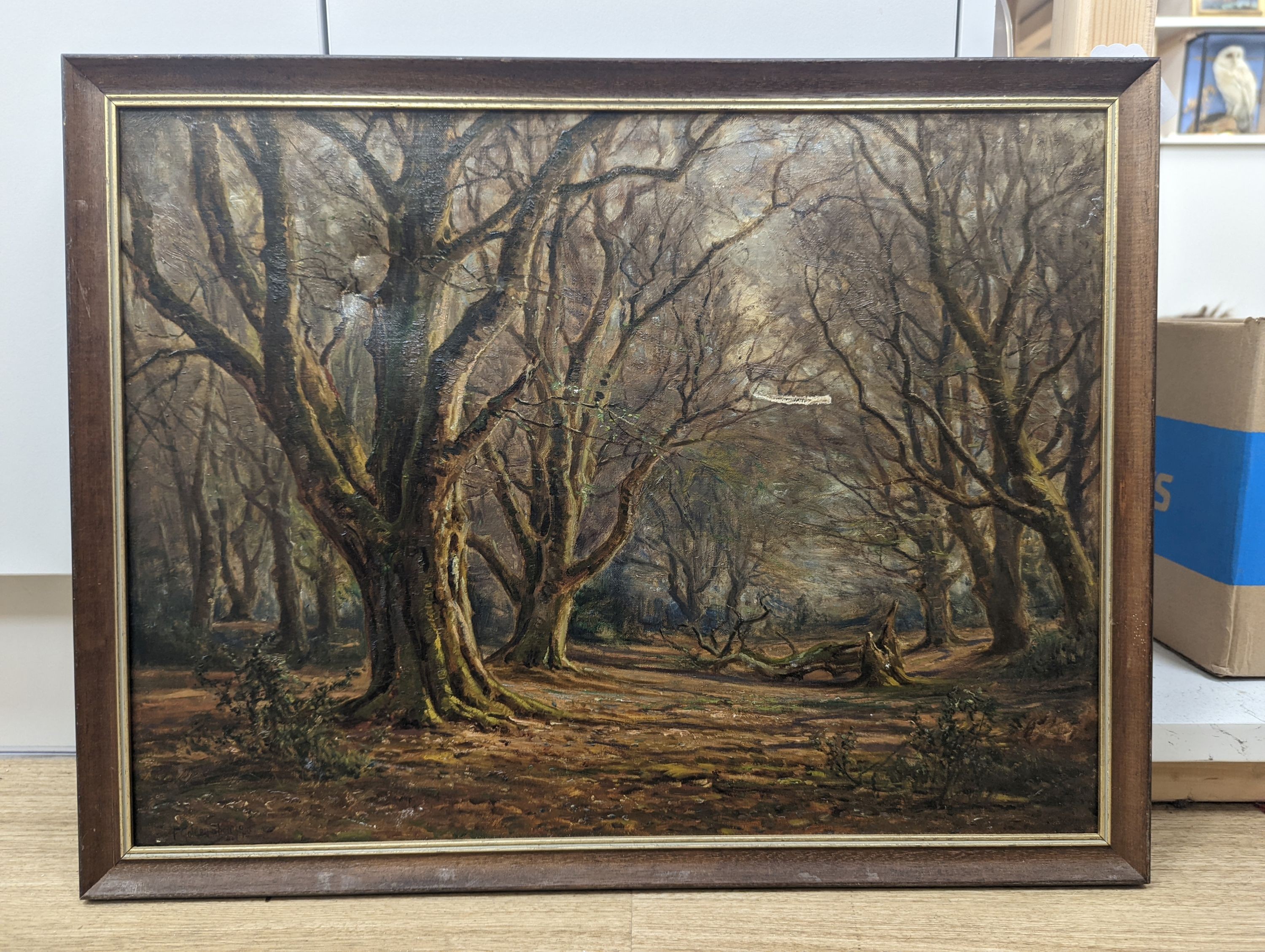 Frederick Golden Short (1863-1936), oil on canvas, Woodland in winter, signed and dated 1910, 40 x 53cm
